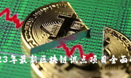 2023年最新区块链试点项目全面解析